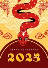 Illustrated Year of the Snake 2025 Posters 1