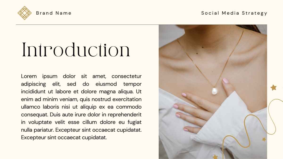 Luxury Jewelry Brand Social Media Strategy Slides - slide 3