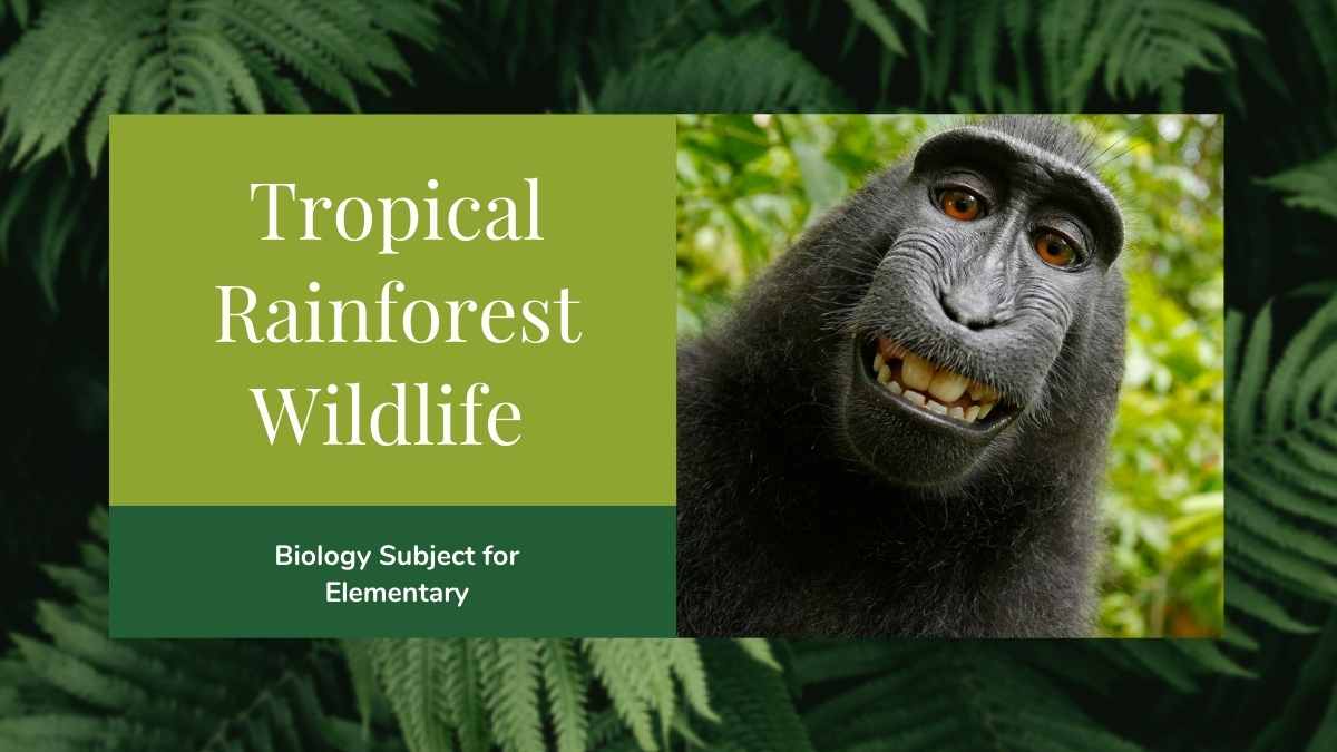 Minimal Biology Rainforest Wildlife Slides - slide 1