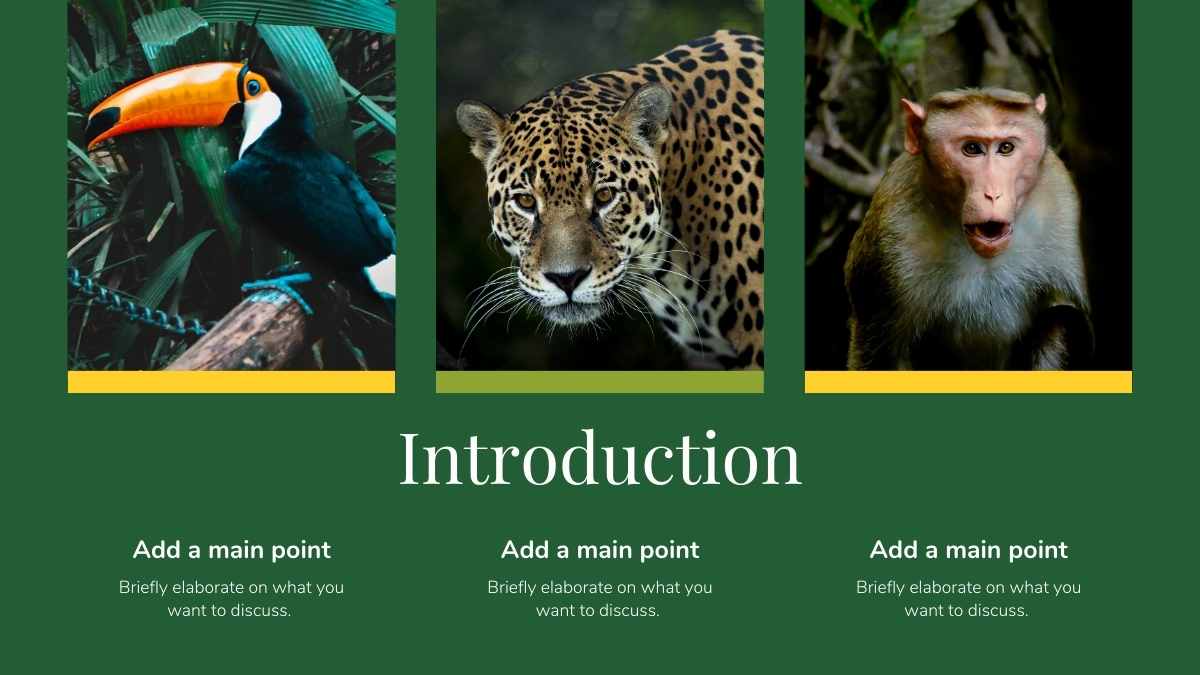 Minimal Biology Rainforest Wildlife Slides - slide 5