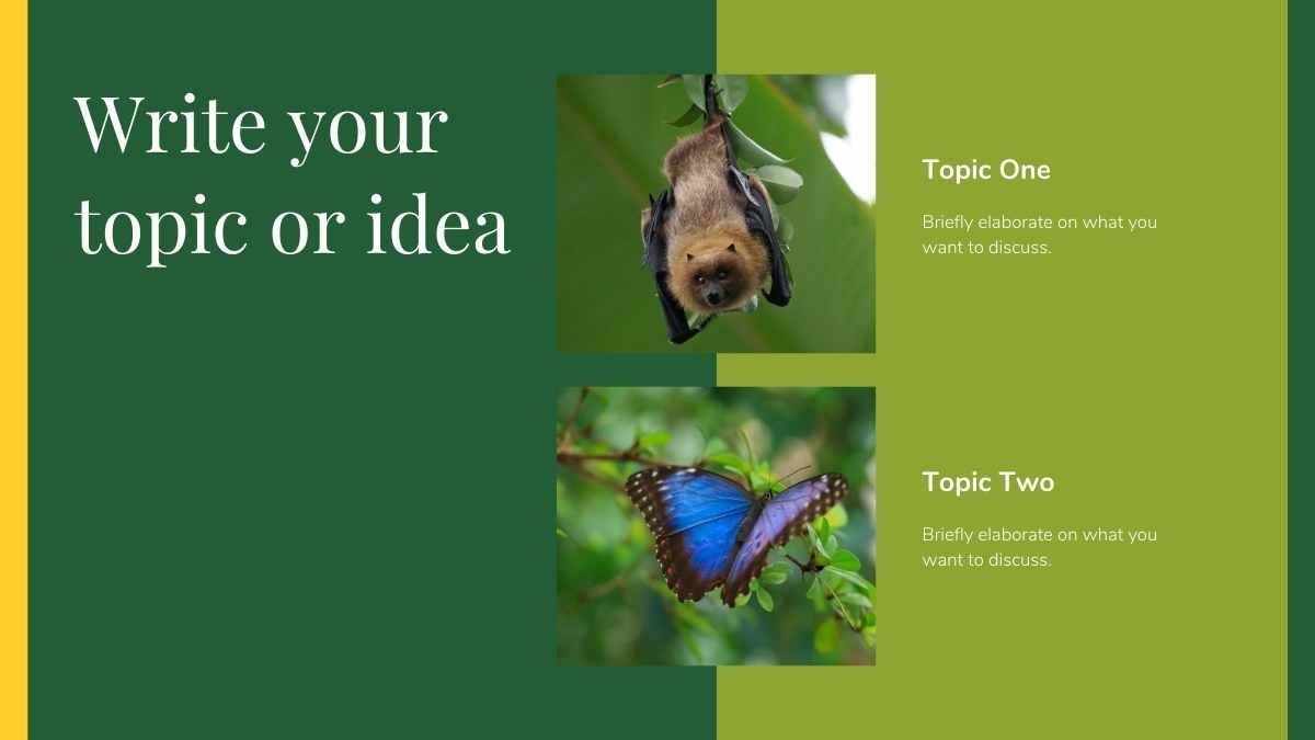 Minimal Biology Rainforest Wildlife Slides - slide 6