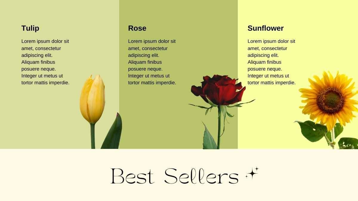 Elegant Florist Brand Portfolio Slides - slide 7