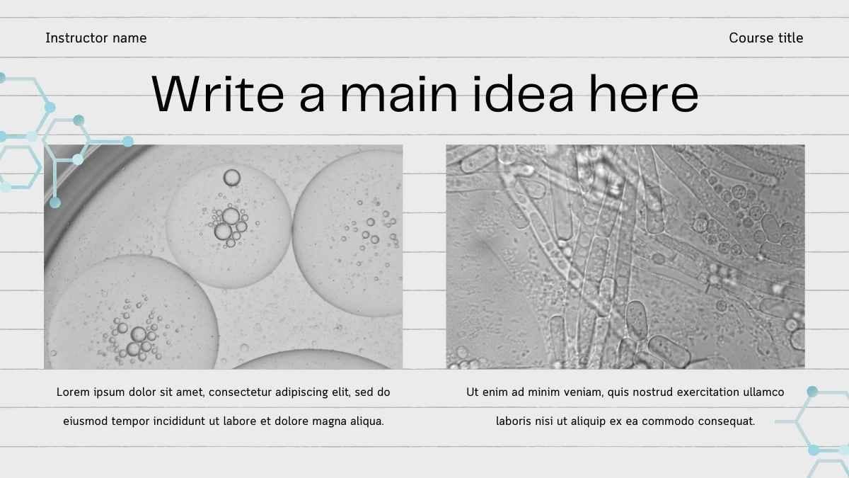 Minimal Gradient Genetics And Molecular Biology Slides - slide 10