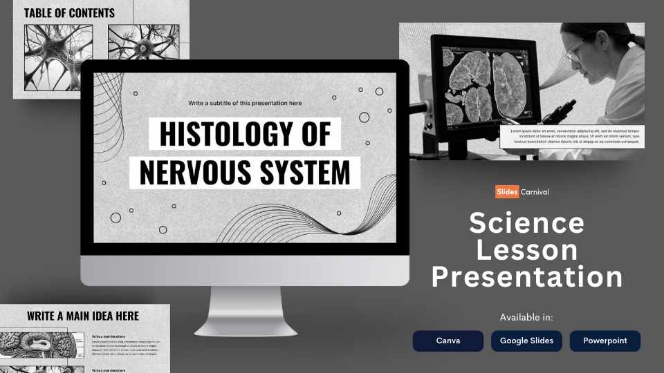 Minimal Histology of Nervous System Slides - slide 1