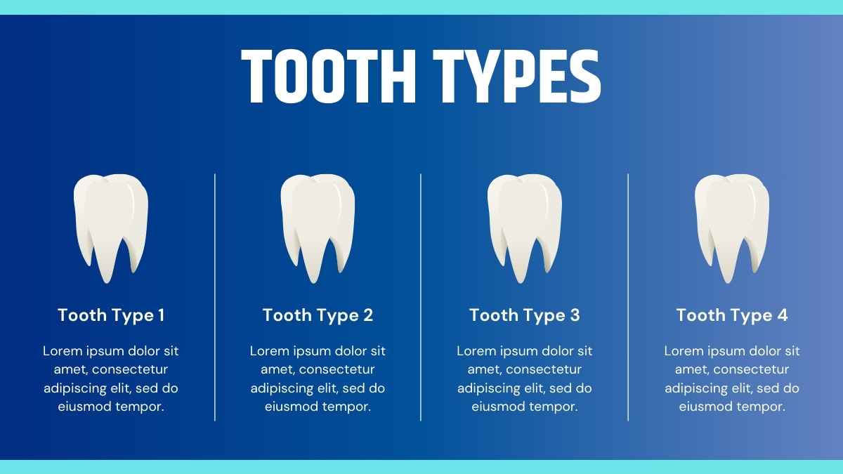 Minimal Structure Of Tooth Slides - slide 6