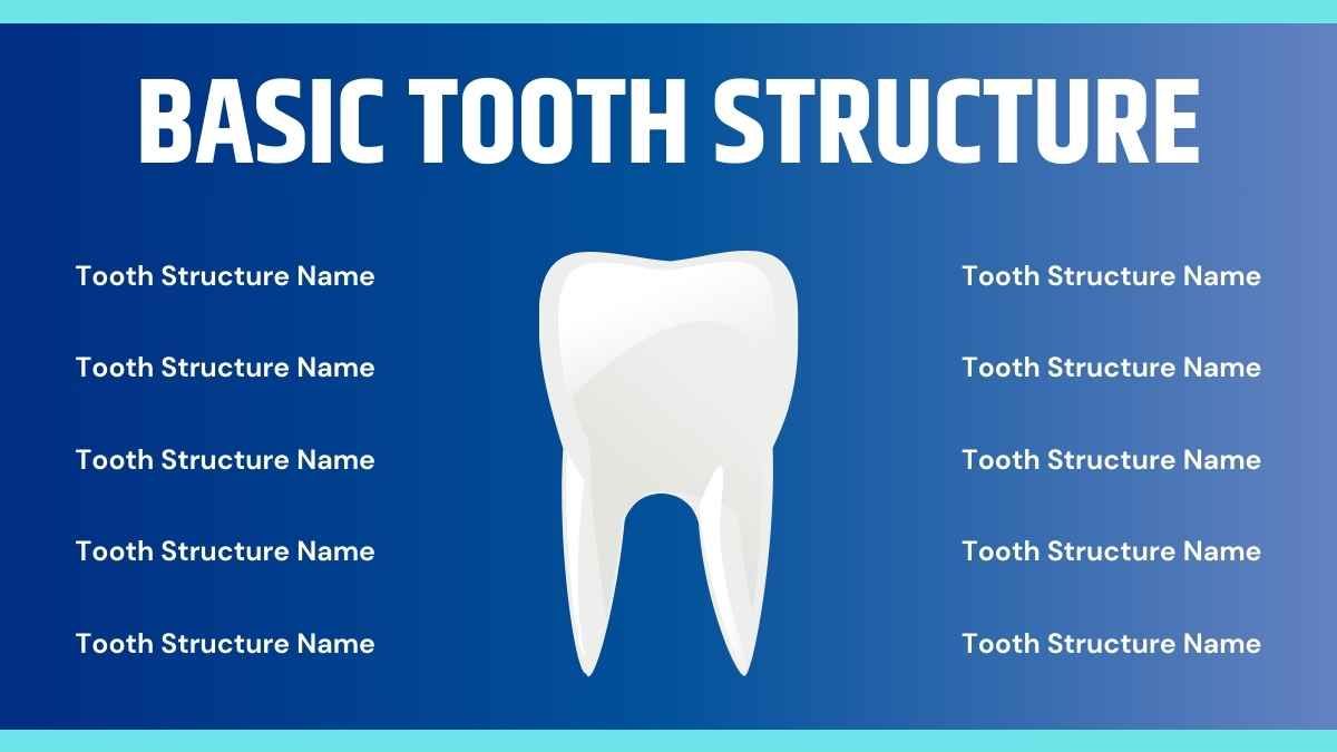 Minimal Structure Of Tooth Slides - diapositiva 8