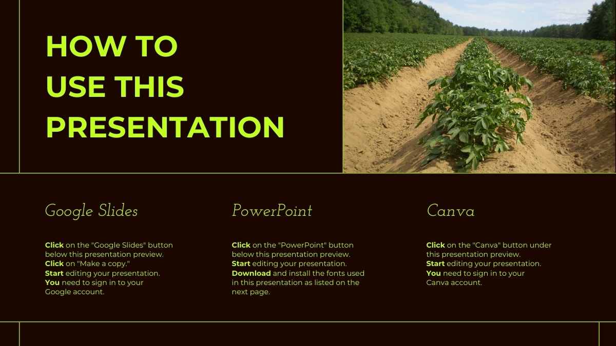 Minimalistic Agri-Food Industry Company Profile Slides - slide 2