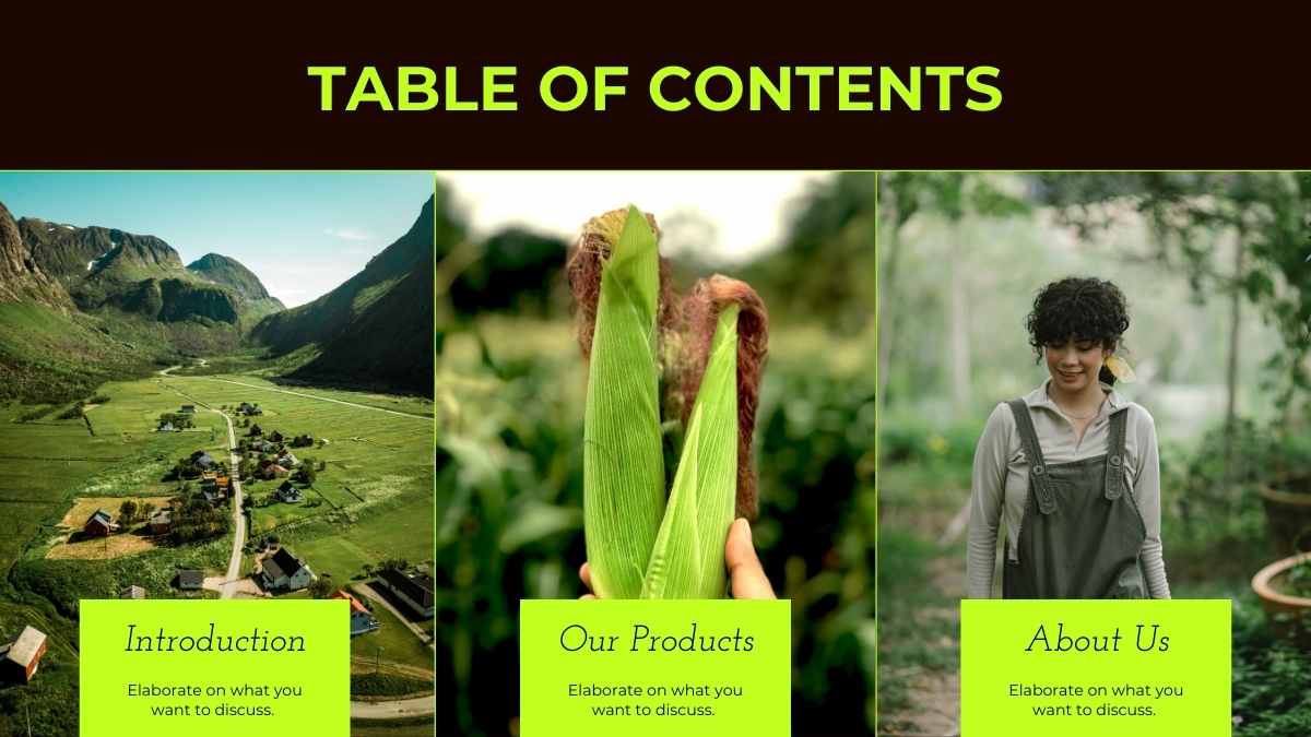 Minimalistic Agri-Food Industry Company Profile Slides - slide 3