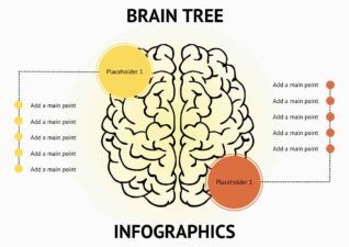 Modern Brain Decision Tree Infographics