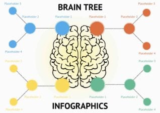 Modern Brain Decision Tree Infographics