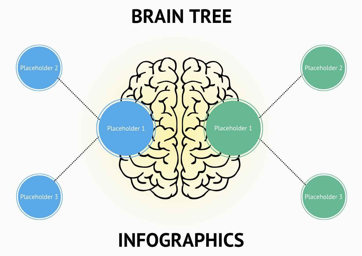 Modern Brain Decision Tree Infographics - diapositiva 3