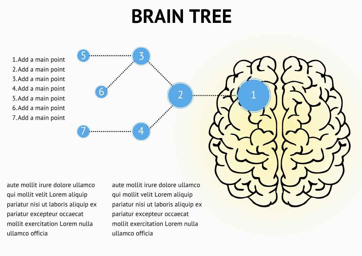 Modern Brain Decision Tree Infographics - diapositiva 4