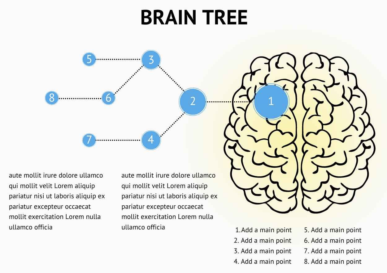 Modern Brain Decision Tree Infographics - diapositiva 5