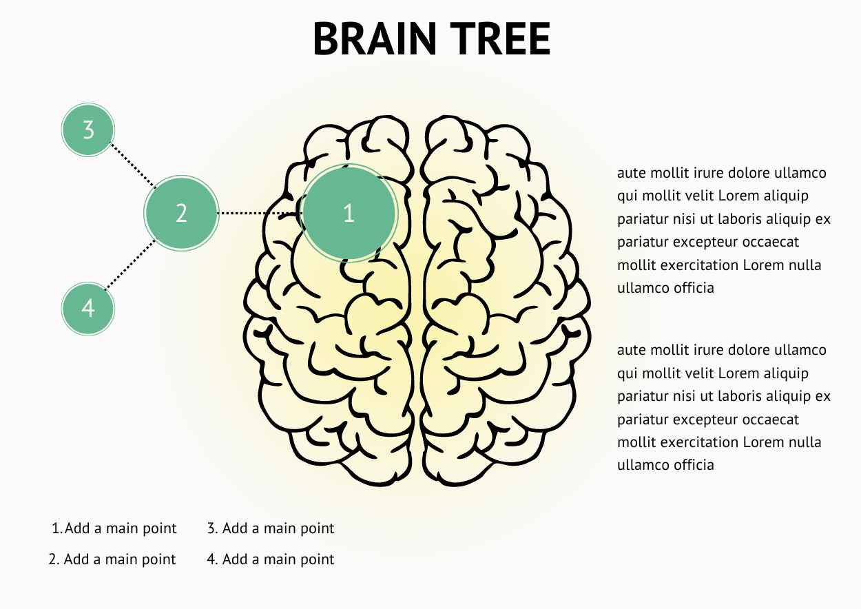 Modern Brain Decision Tree Infographics - slide 6