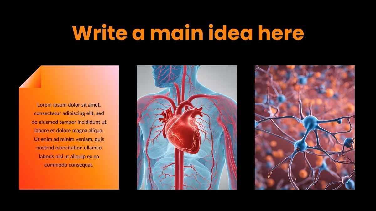 Modern Drugs Acting On Autonomic Nervous System Slides - slide 9