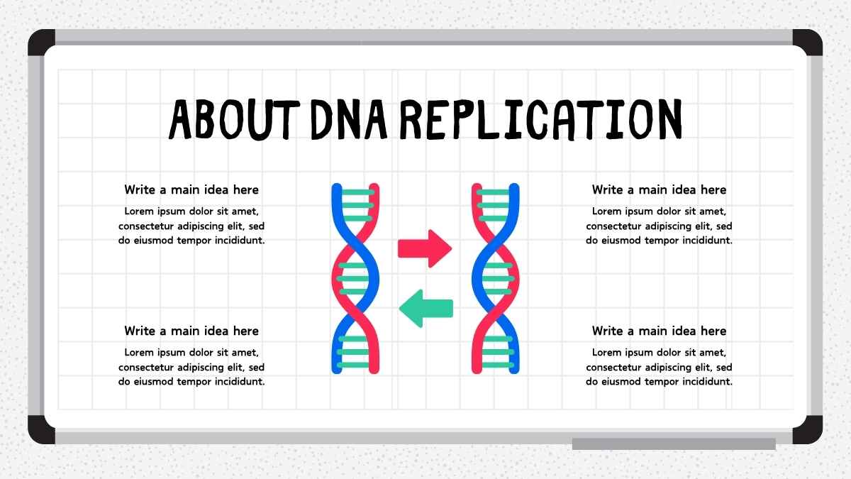 Modern Illustrated Introduction to Genetics Lesson Slides - slide 11