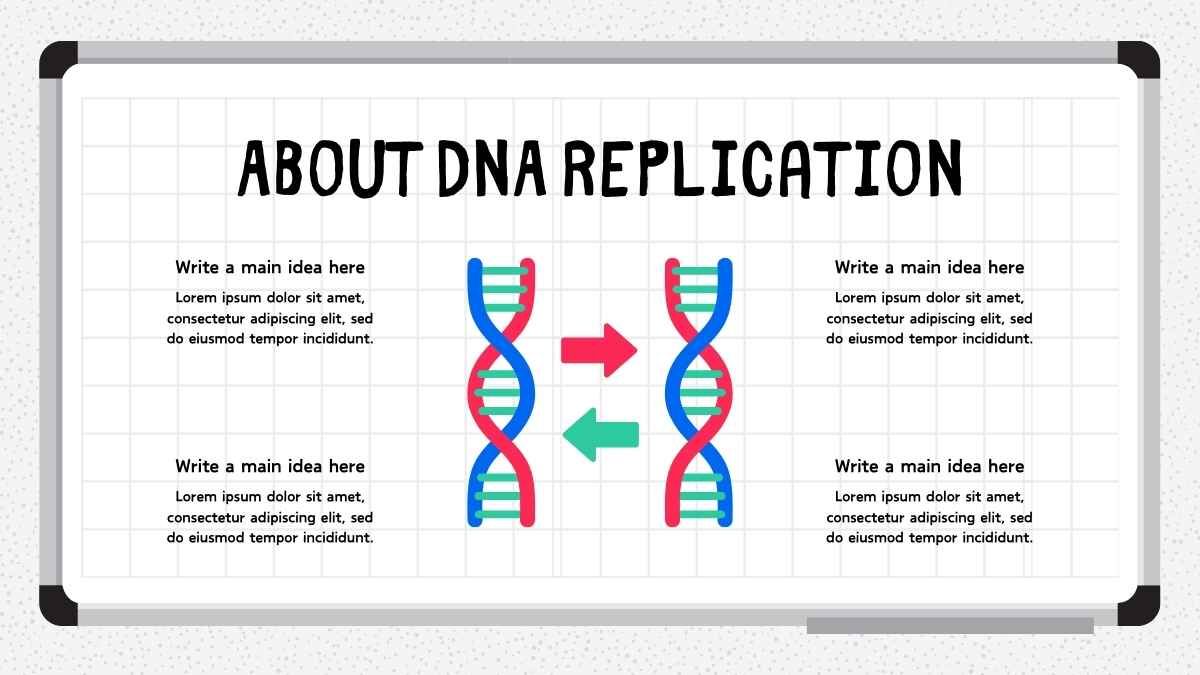 Modern Illustrated Introduction to Genetics Lesson Slides - slide 11