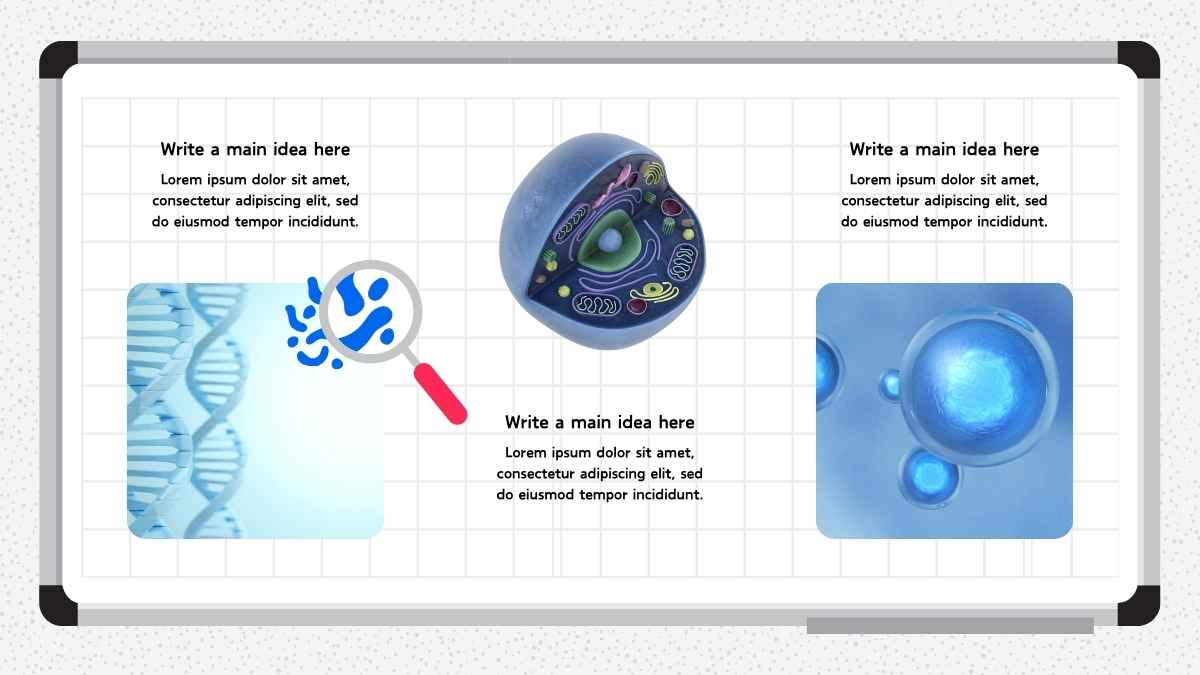 Modern Illustrated Introduction to Genetics Lesson Slides - slide 14