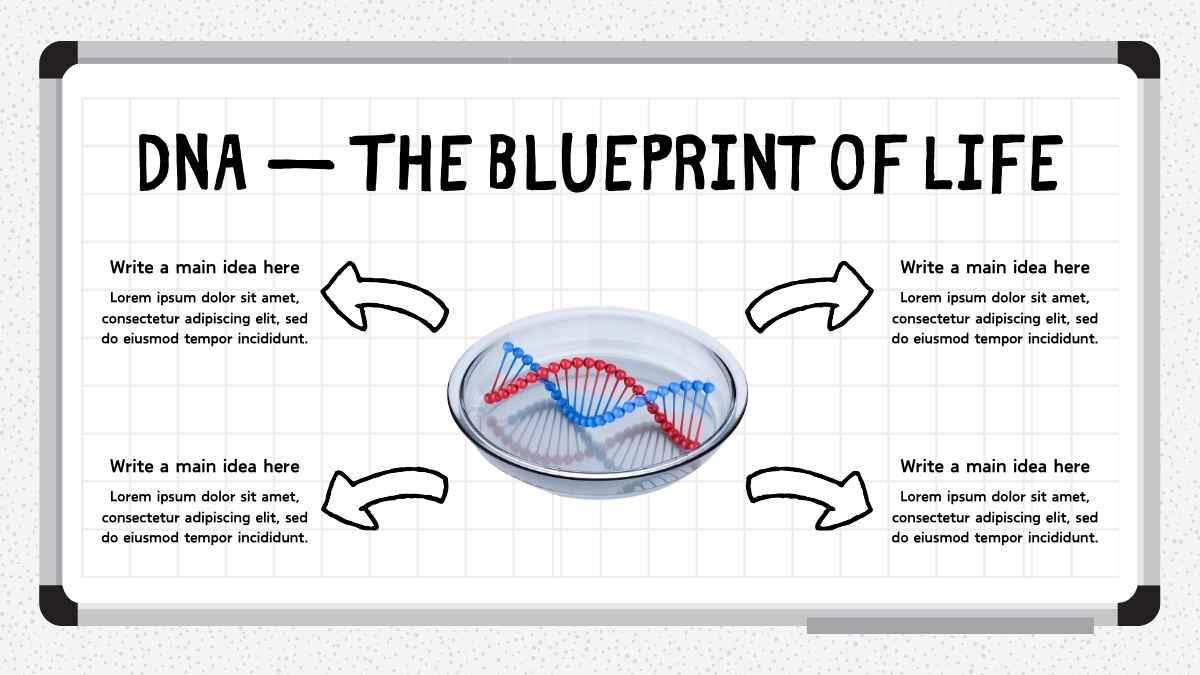 Modern Illustrated Introduction to Genetics Lesson Slides - slide 4