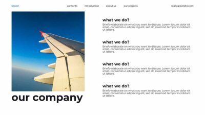 Modern Minimal Aviation Services Project Proposal