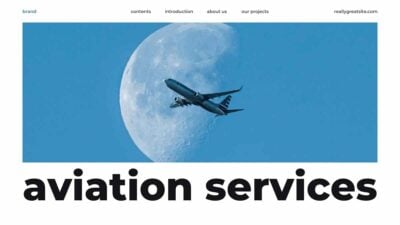 Modern Minimal Aviation Services Project Proposal