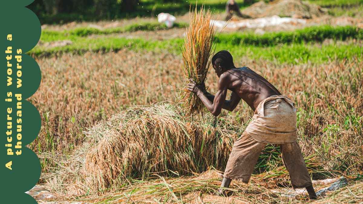 Descubre Ghana con Plantillas Modernas y Minimalistas - diapositiva 5