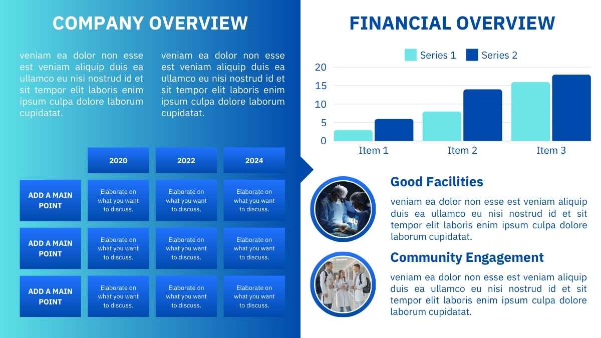 Modern Minimal Healthcare Executive Summary Slides - slide 3