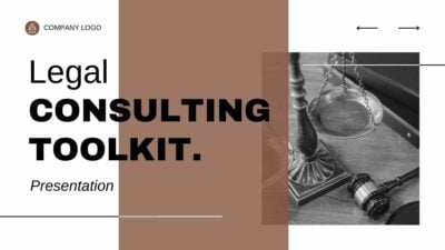 Modern Geometric Legal Consulting Toolkit