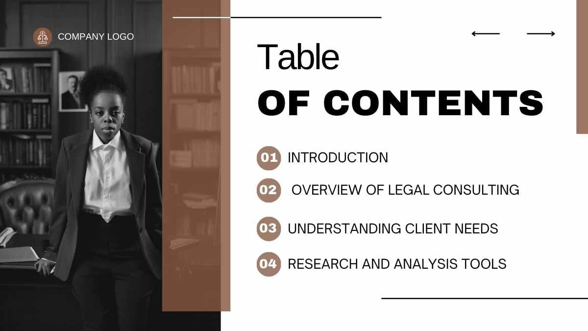 Modern Geometric Legal Consulting Toolkit - slide 2