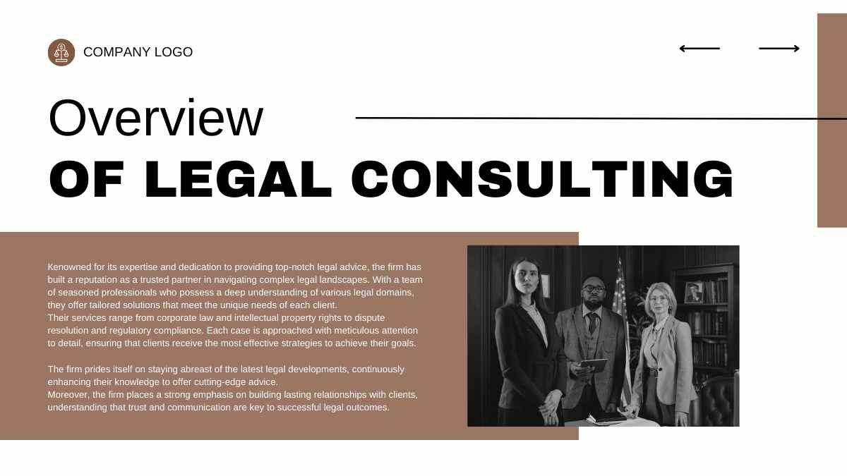 Modern Geometric Legal Consulting Toolkit - diapositiva 7