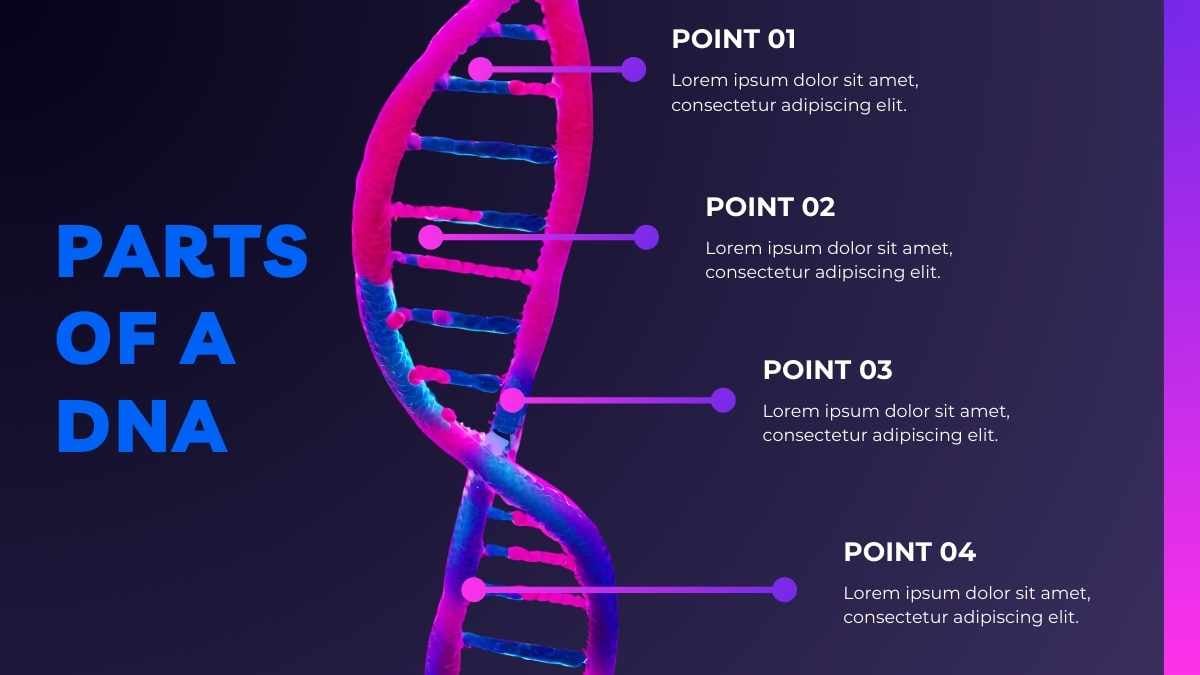 DNA: The Human Body Recipe Violet Slides - slide 10