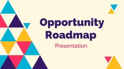 Opportunity Roadmap Slides