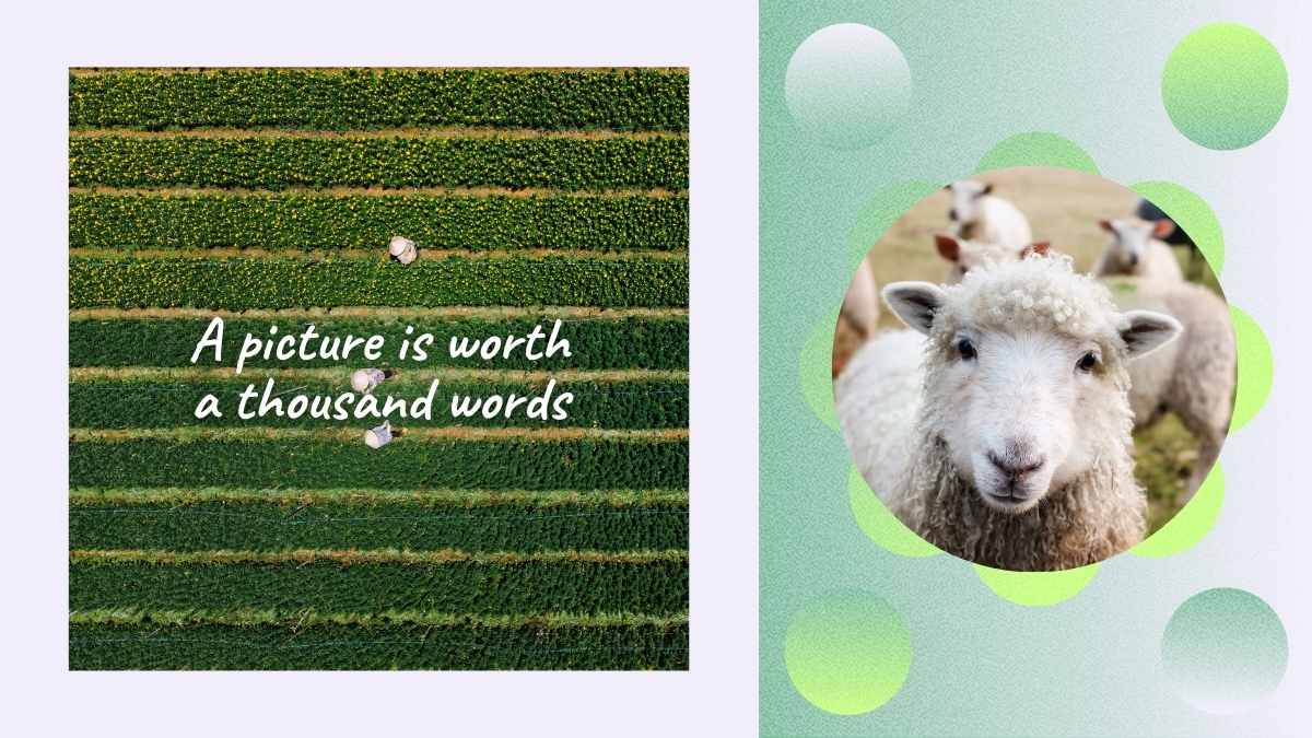 Organic Farming Lifestyle Marketing Plan Slides - slide 11