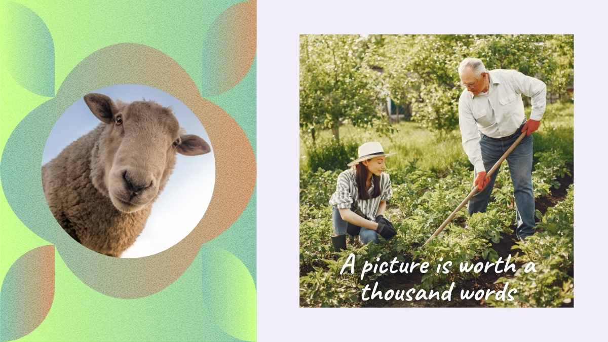 Organic Farming Lifestyle Marketing Plan Slides - slide 12