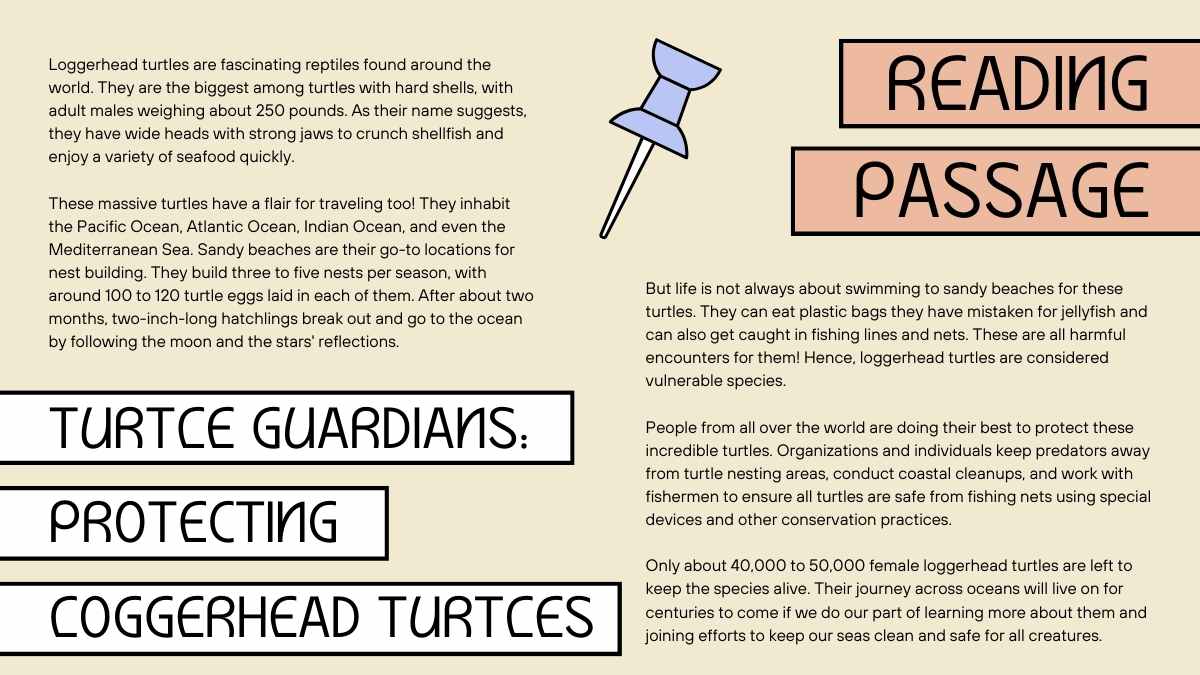 Paragraph Structure and Informational Text Lesson for Middle School - slide 10