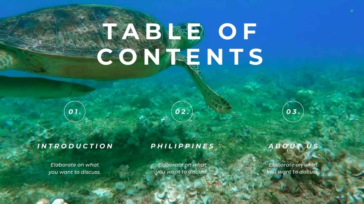 Philippines: a Tourist Destination Marketing Campaign Slides - slide 2