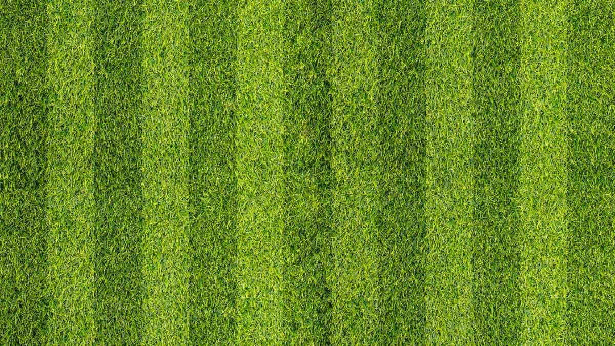 Photo-centric Soccer Field Background - diapositiva 5