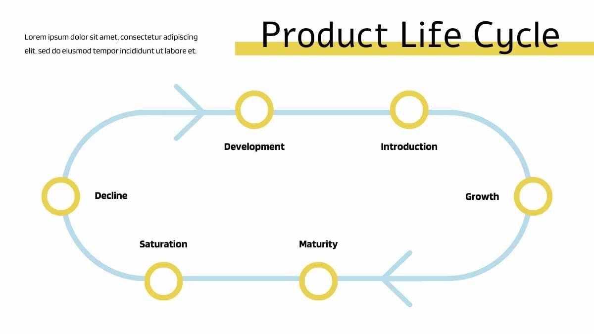 Modern Minimal Product Life Cycle Infographic - slide 14