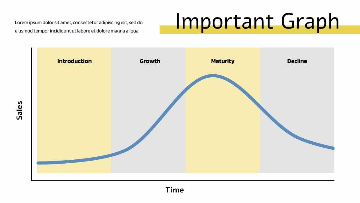 Modern Minimal Product Life Cycle Infographic - slide 2