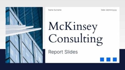 Professional McKinsey Consulting Report Slides