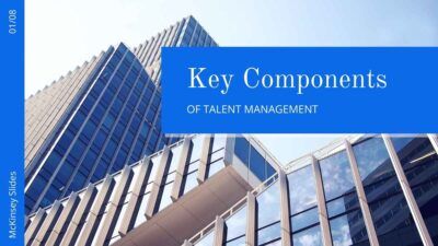 Professional Talent Management McKinsey Slides