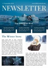 Professional Winter Newsletter 1