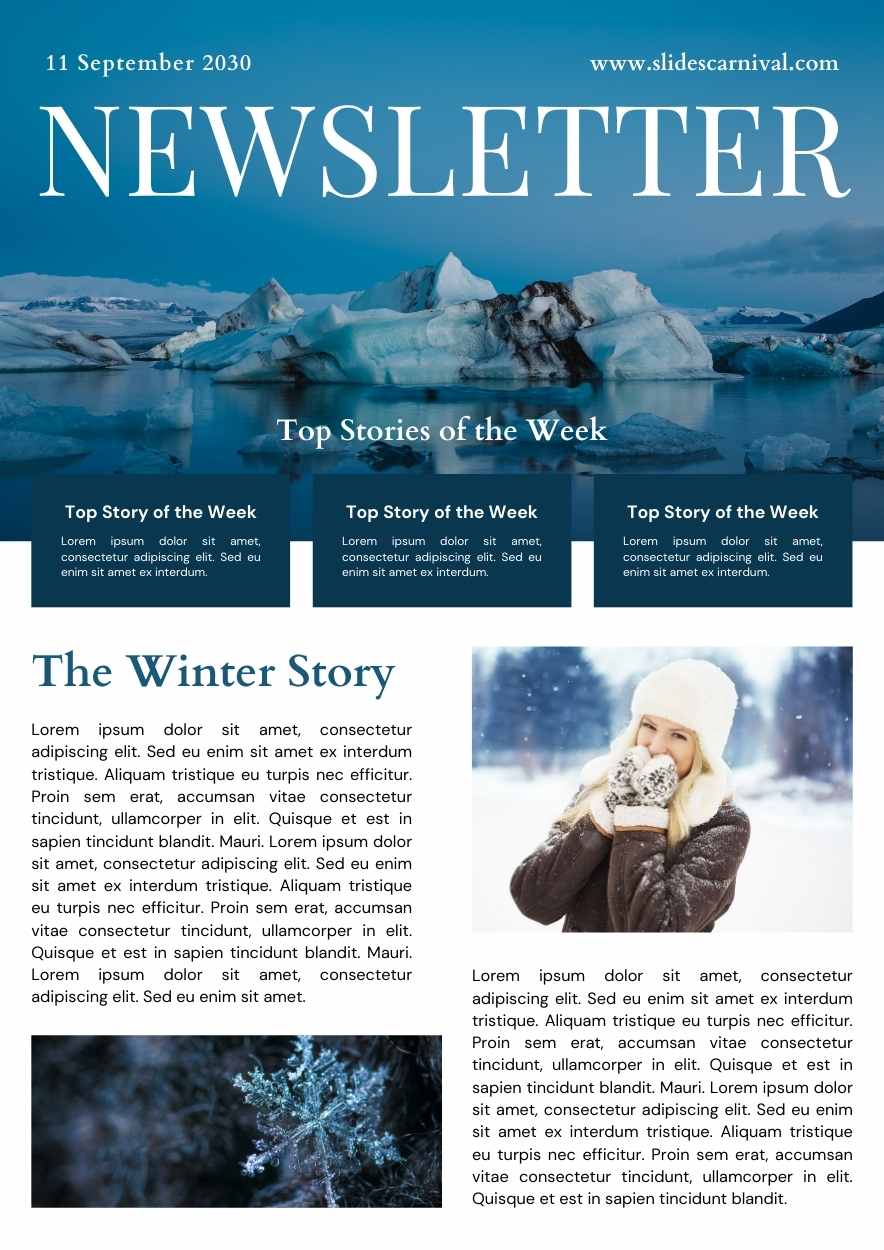 Professional Winter Newsletter - slide 1