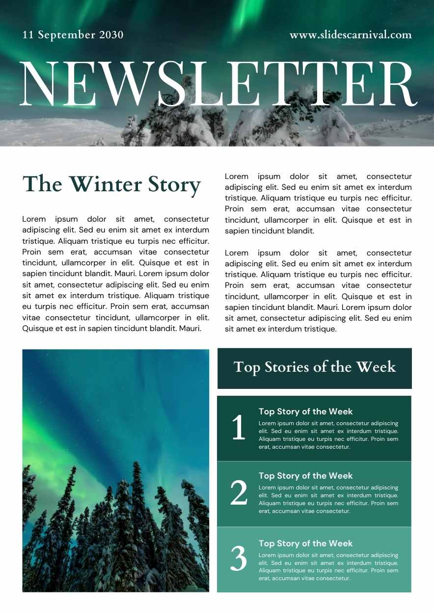 Professional Winter Newsletter - slide 2