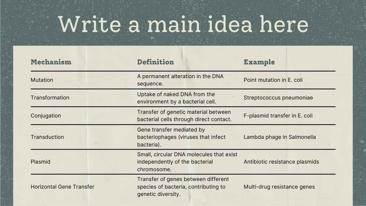 Scrapbook Bacterial Genetics Lecture Slides - slide 11