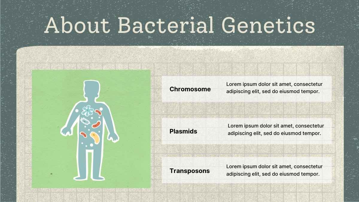 Scrapbook Bacterial Genetics Lecture Slides - slide 4