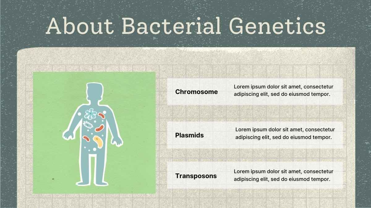 Scrapbook Bacterial Genetics Lecture Slides - slide 4