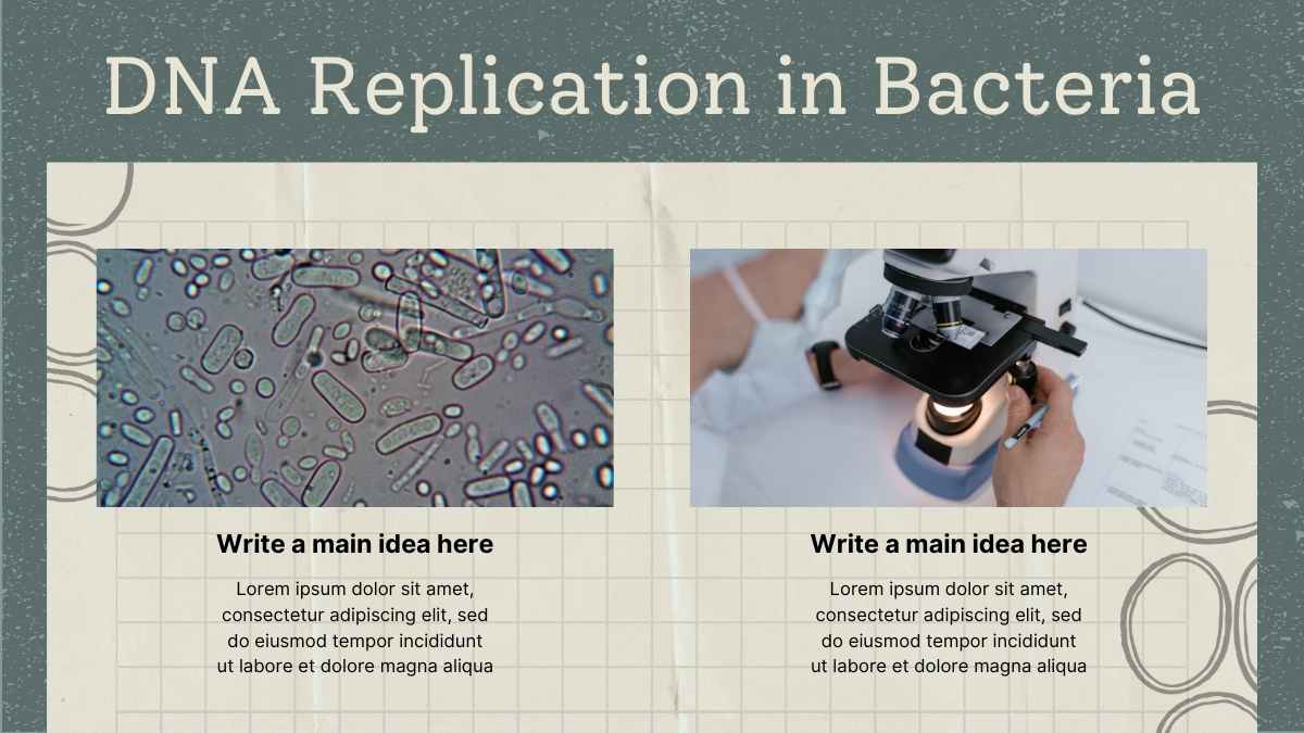 Scrapbook Bacterial Genetics Lecture Slides - slide 9