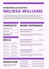 Simple Accountant CV Resume