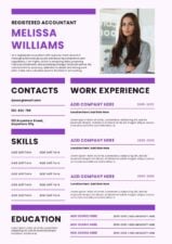 Simple Accountant CV Resume